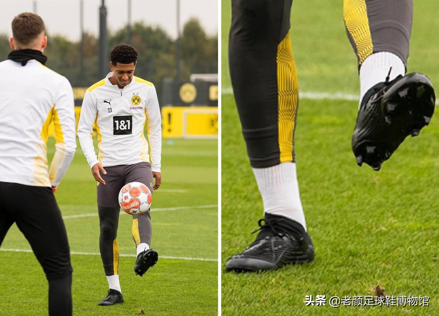 敬的荷兰足 敬的荷兰足