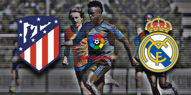 他因多次被 他因多次被