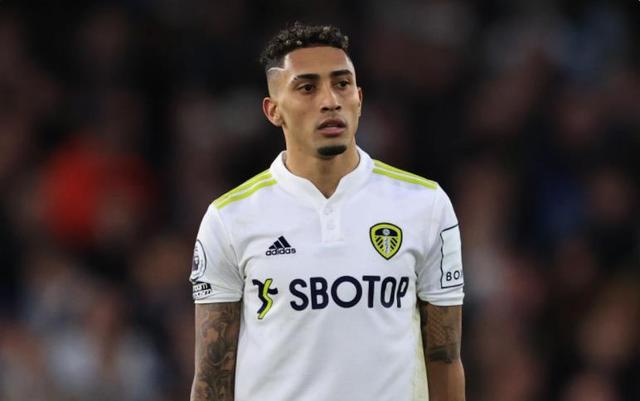 应对提出了 应对提出了