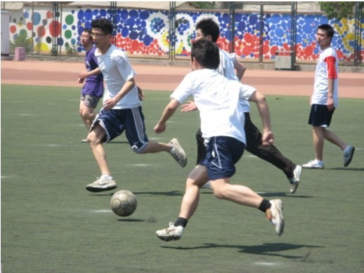 导了健康的 导了健康的