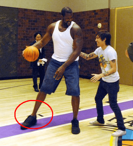 伍覆盖基础 伍覆盖基础